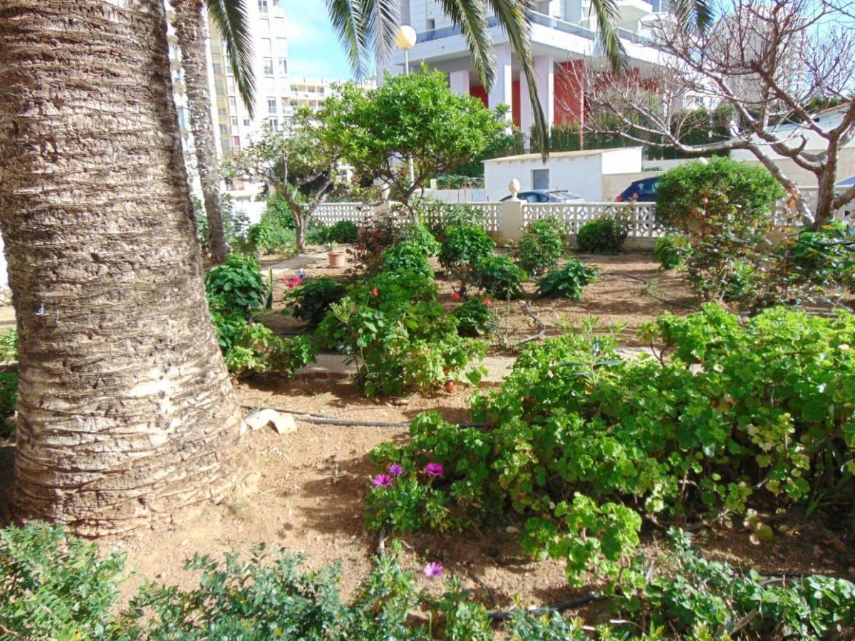 Apartamento President 3ºd Calpe